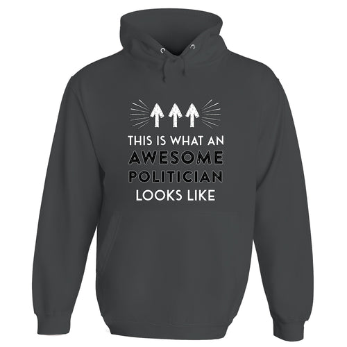 Awesome Politician Hoodie - Steel Grey / Small