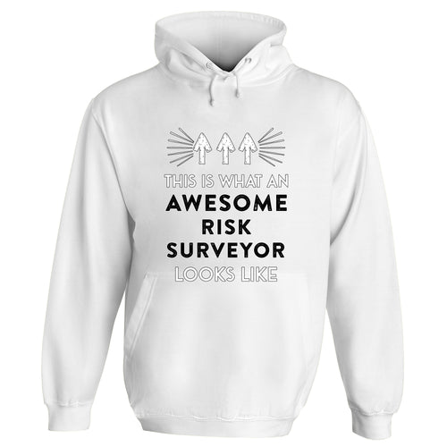 Awesome Risk Surveyor Hoodie - Arctic White / X Large