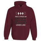 Awesome Software Developer Hoodie