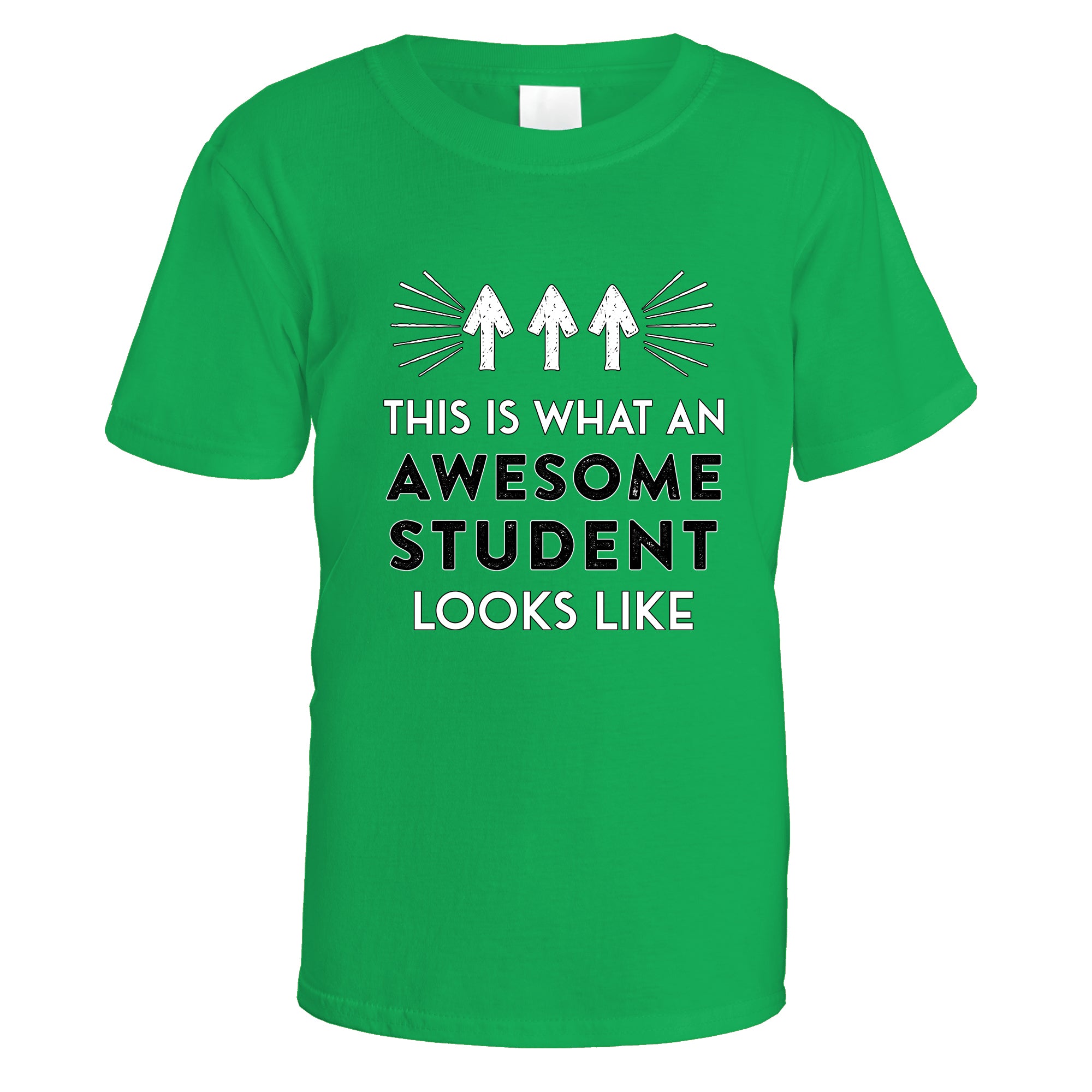 Awesome Student T-Shirt