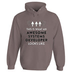 Awesome Systems Developer Hoodie