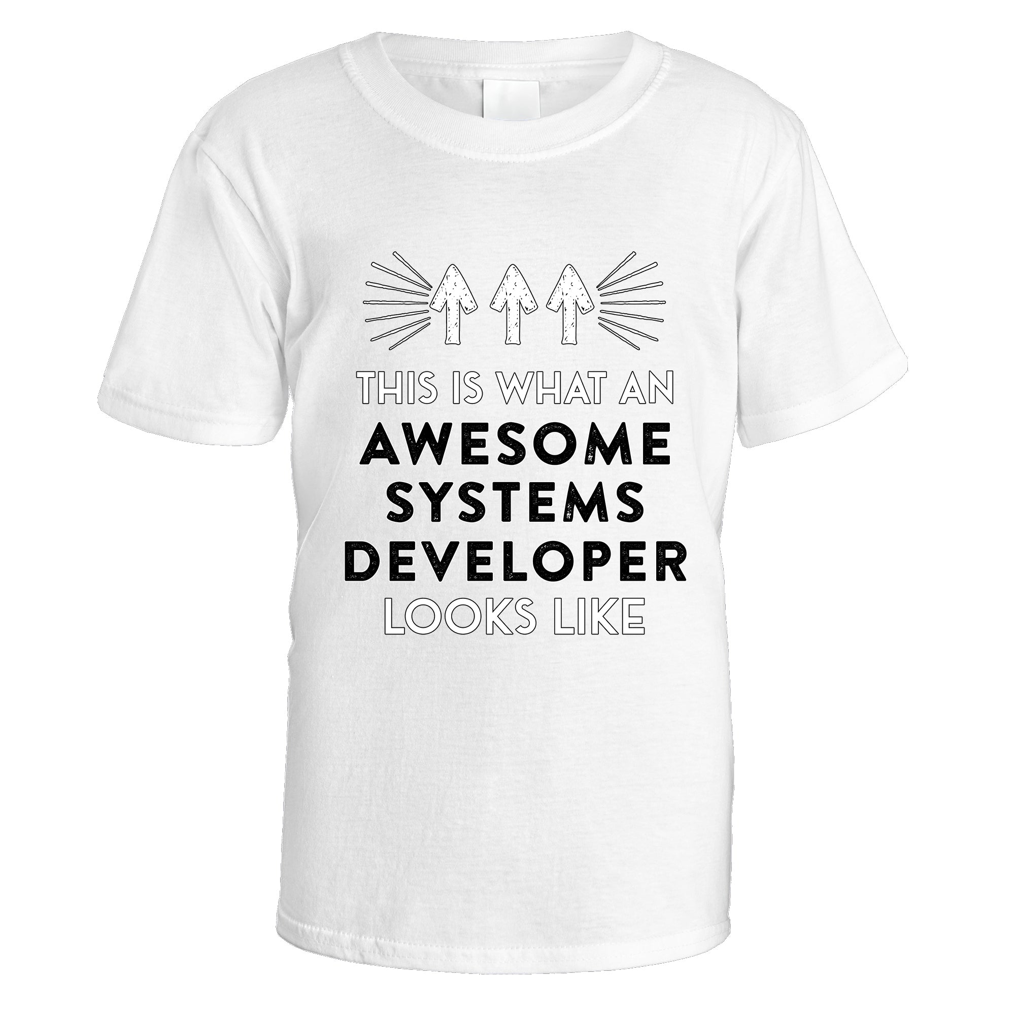 Awesome Systems Developer T-Shirt