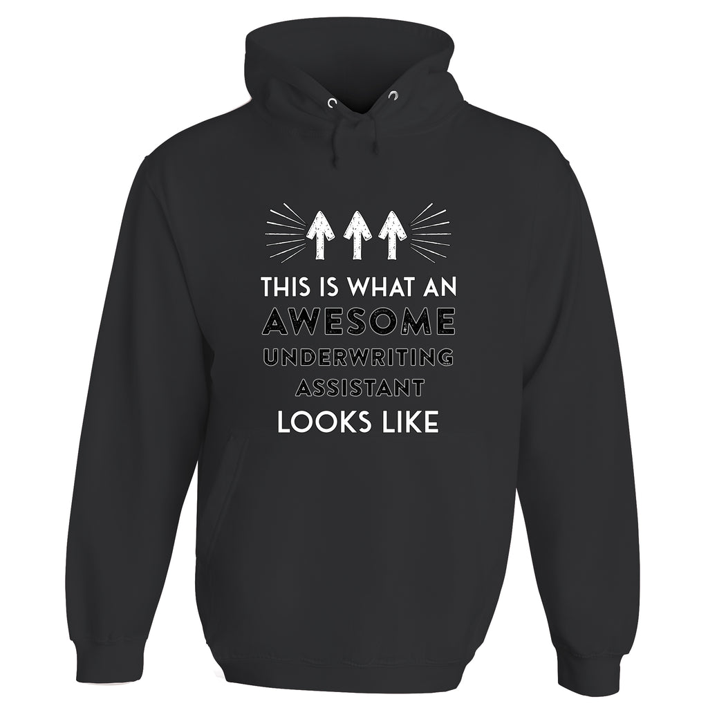 Awesome Underwriting Assistant Hoodie