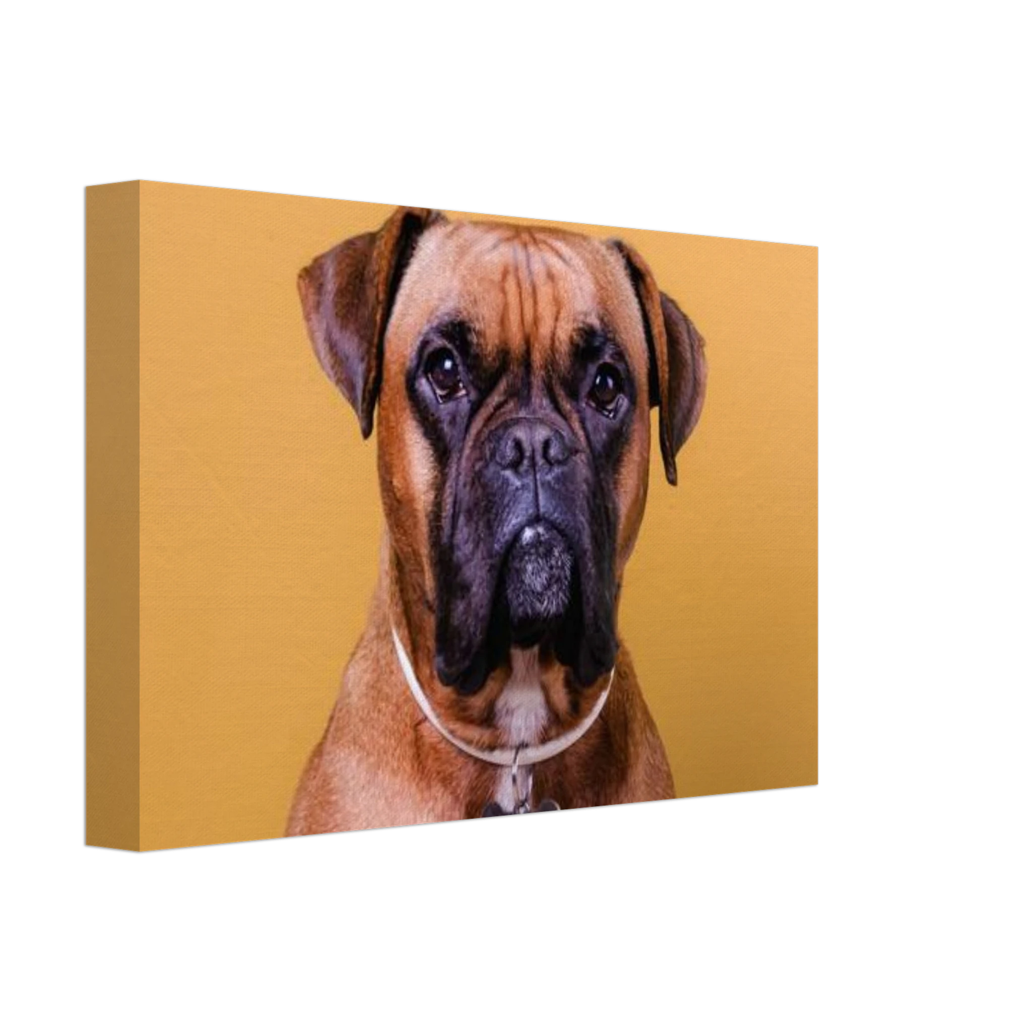 b151f740-f0c7-47f0-b30f-1645adef75cb