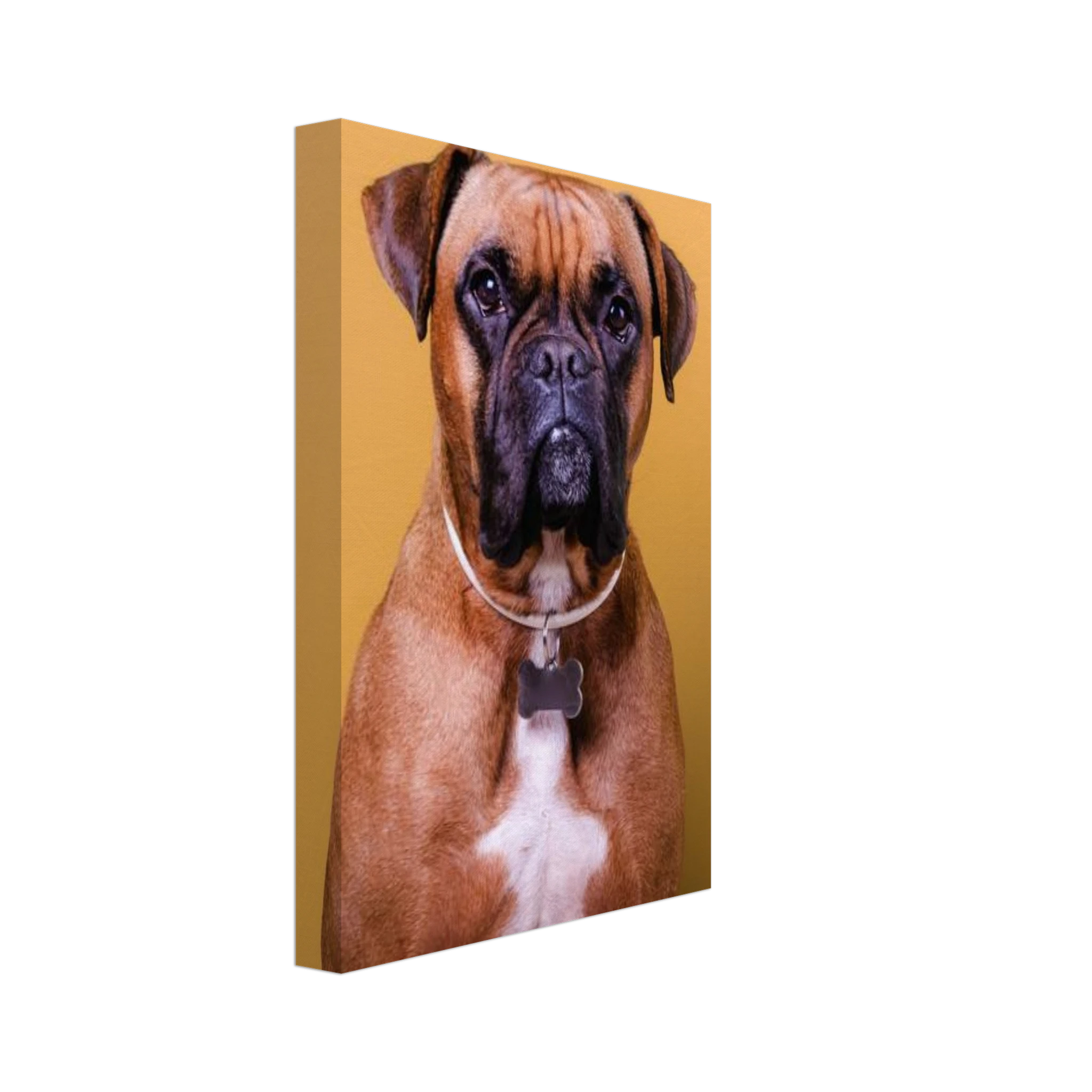 c2636c0f-bbc4-4103-89ae-2e694d4dbc9f