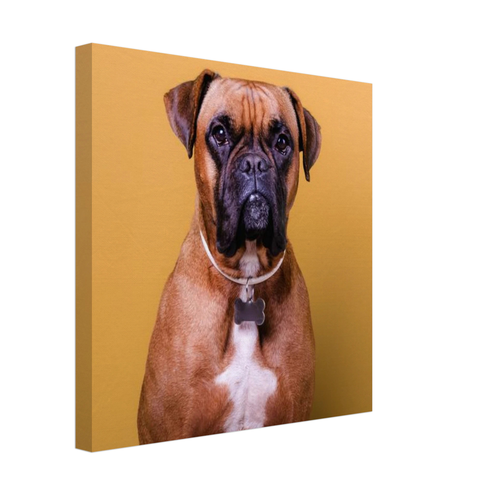 d11a9f45-9b90-4b22-96d8-87bd7dcad678