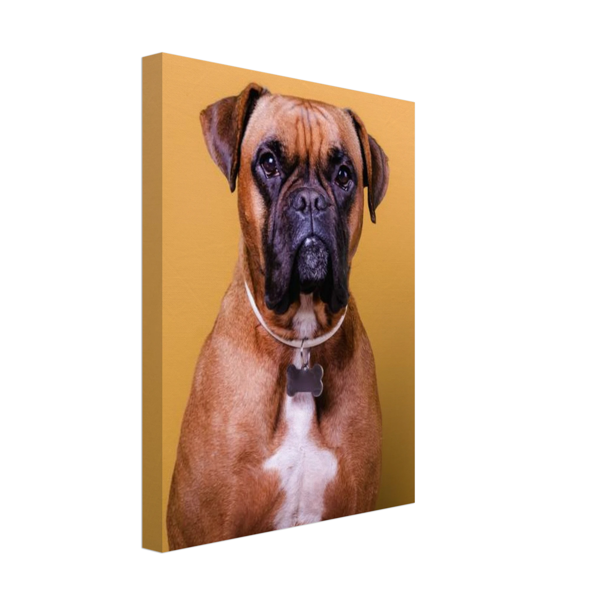 d55cea3e-f31d-4484-ad37-d4d5a92f3e1d