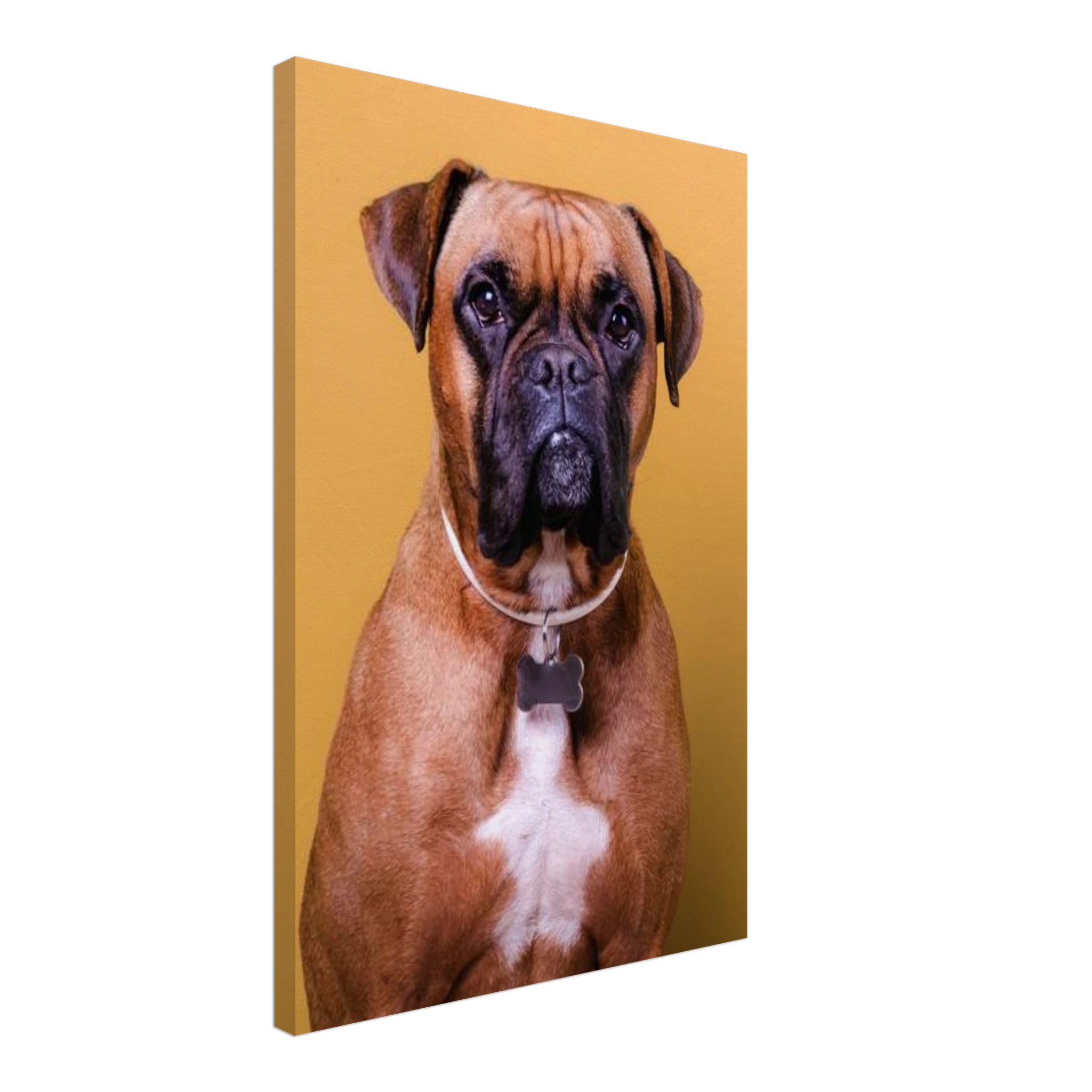 fe3cf74b-9dc9-4676-8a92-e4690e8b517b