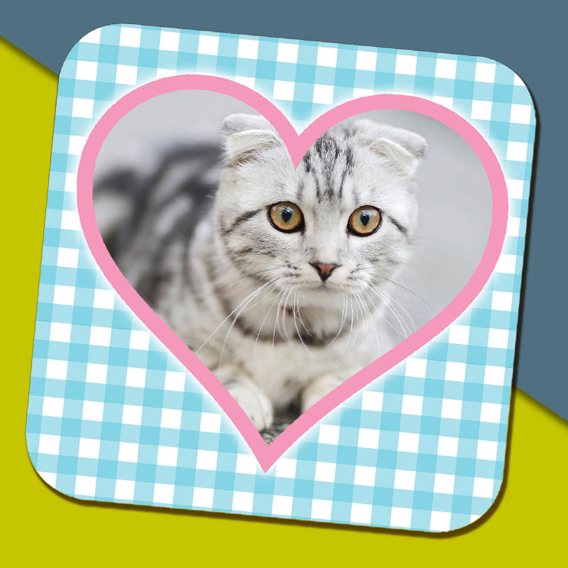 Gingham & Pink Heart Photo Coaster