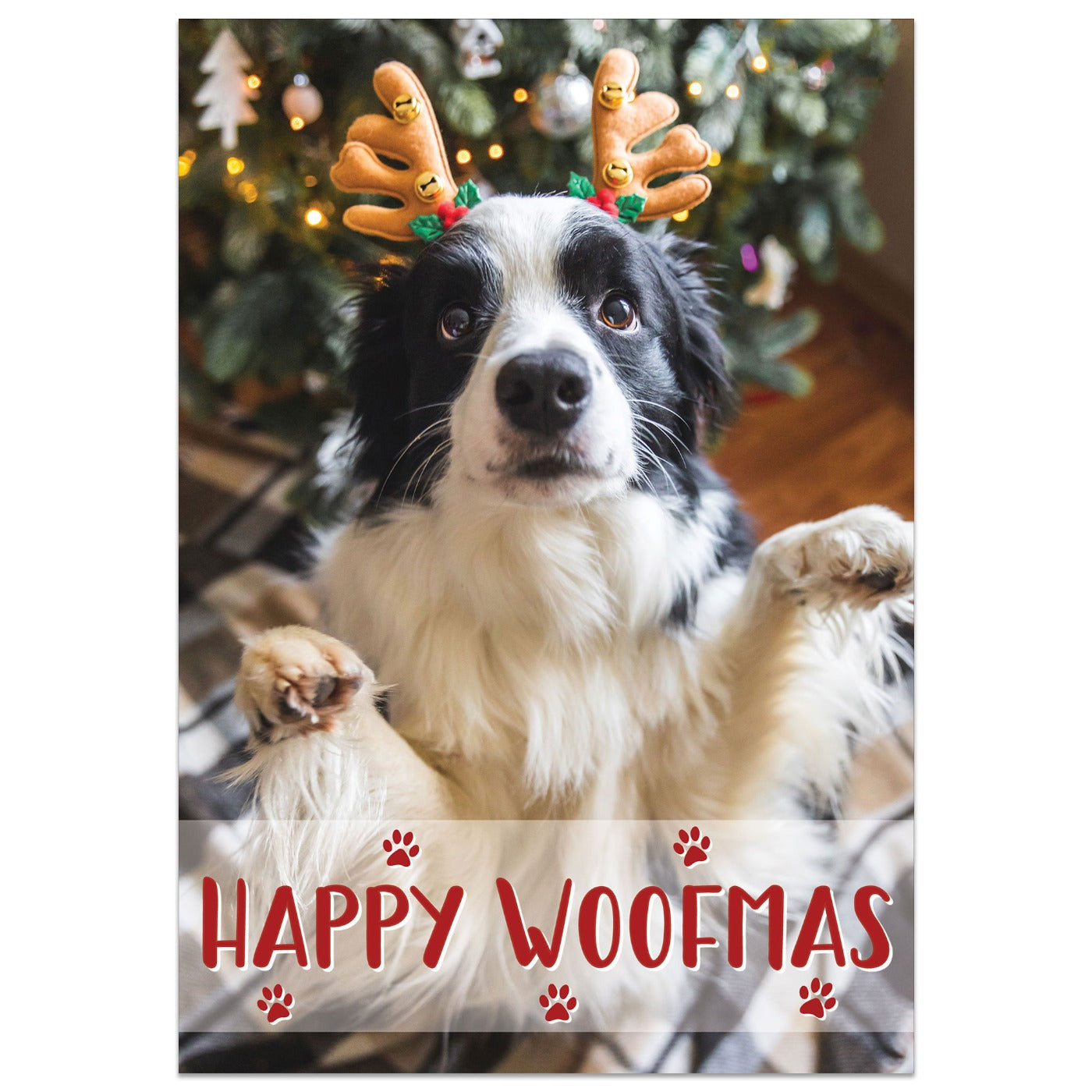 Happy Woofmas Photo Christmas Card