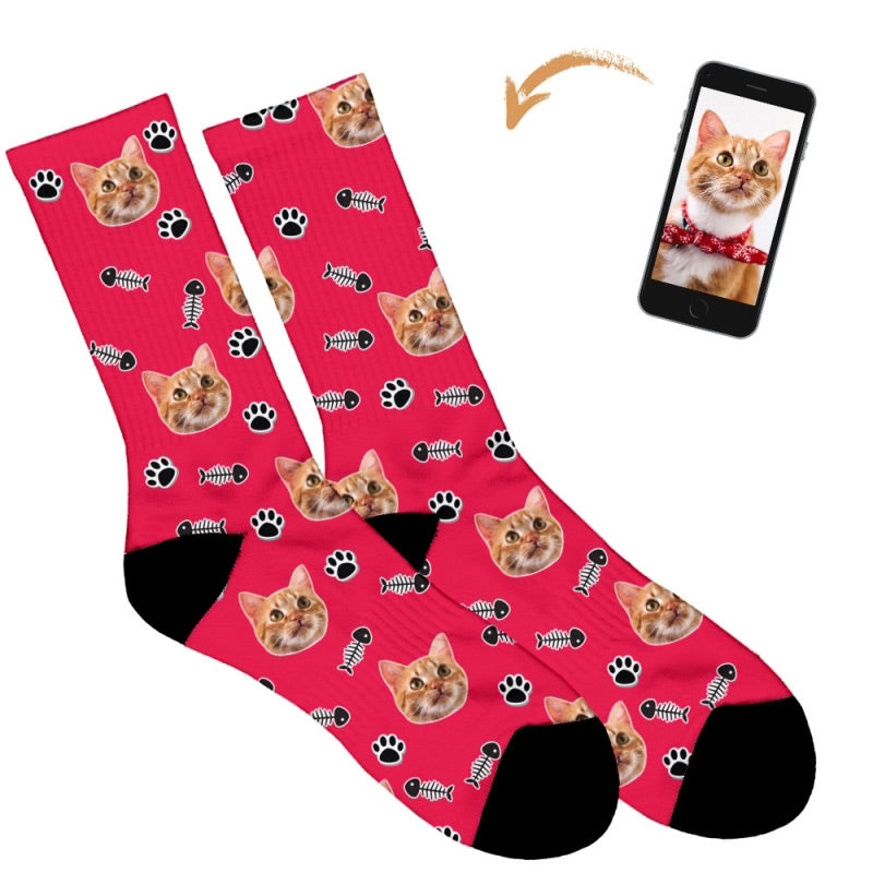 Your Cat on Socks