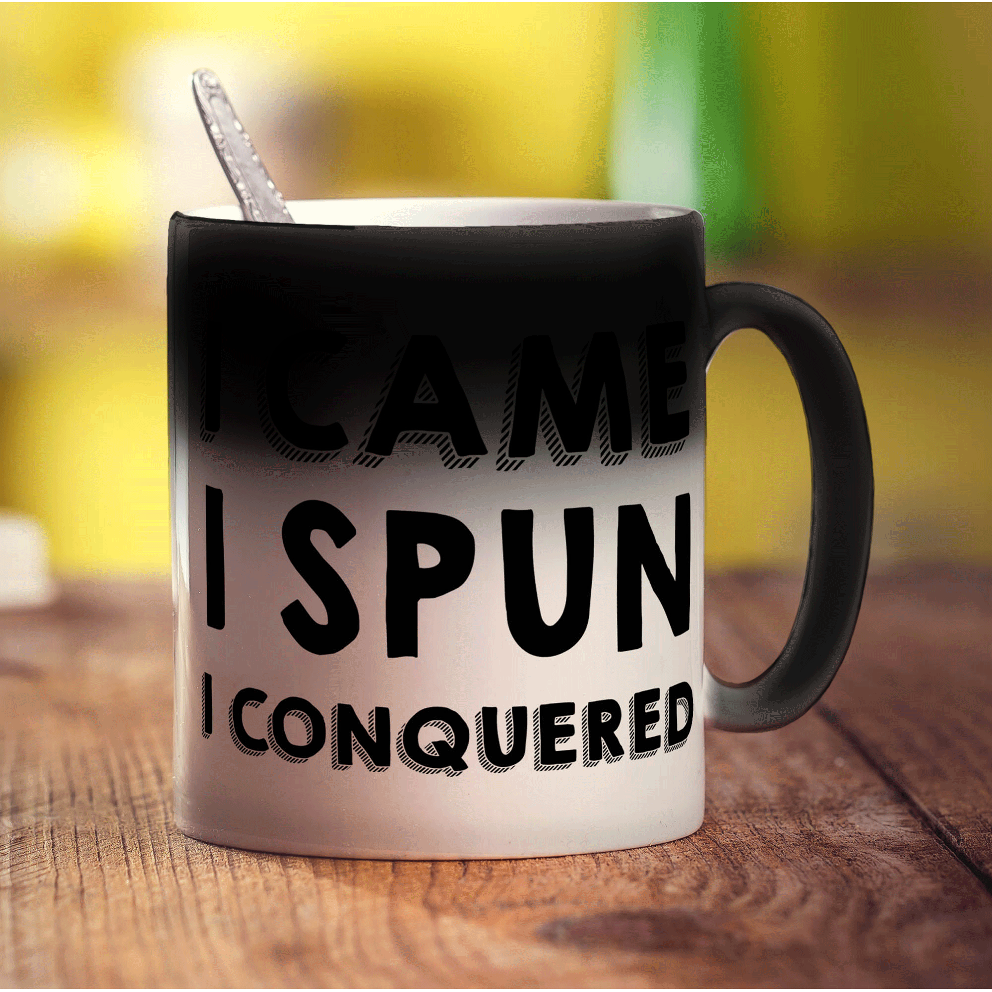 I Came, I Spun, I Conquered Mug