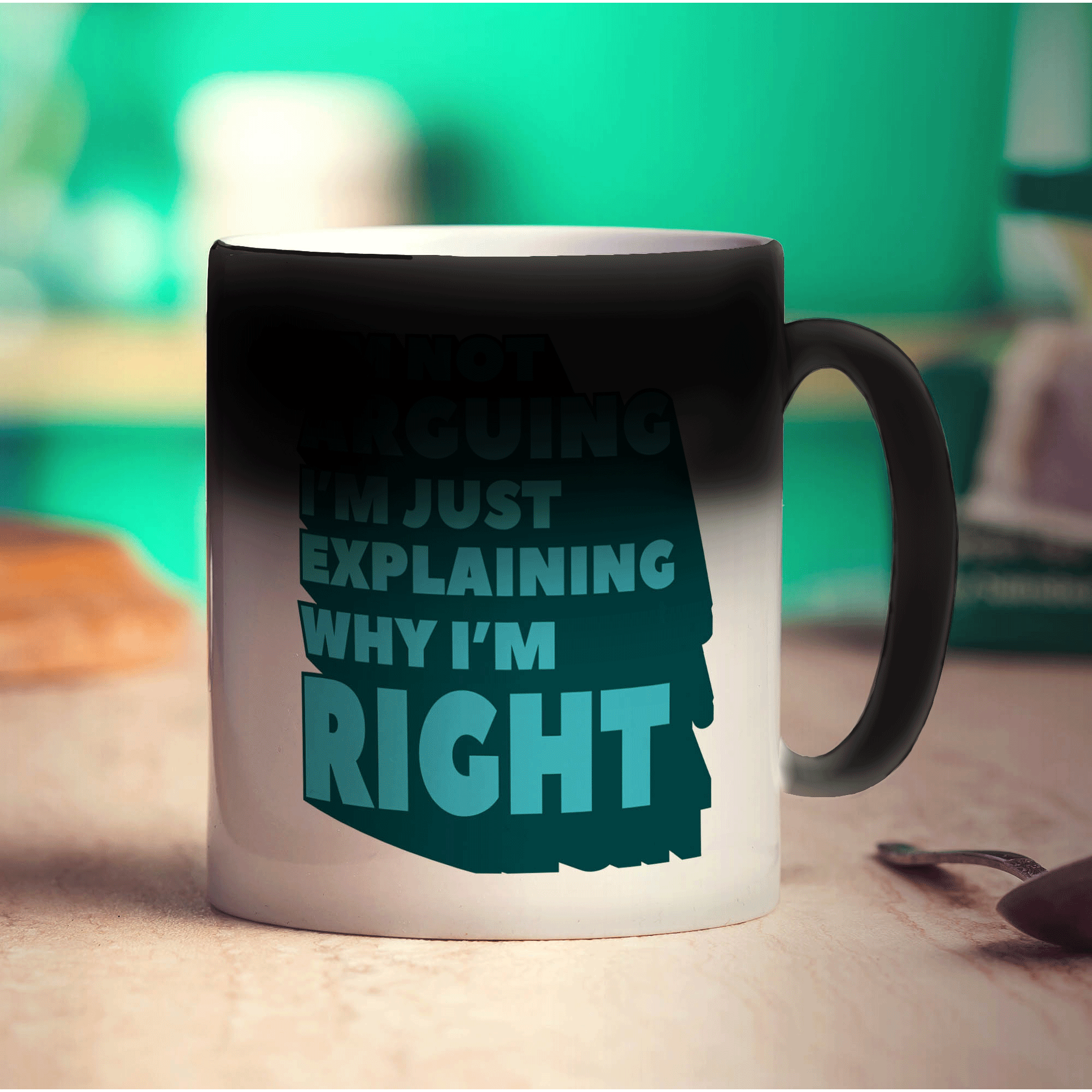 I'm Not Arguing I'm Just Explaining Why I'm Right Mug