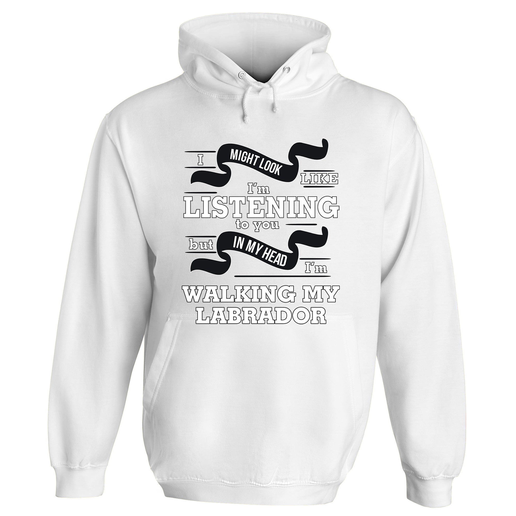In My Head I'm Walking My Labrador Hoodie