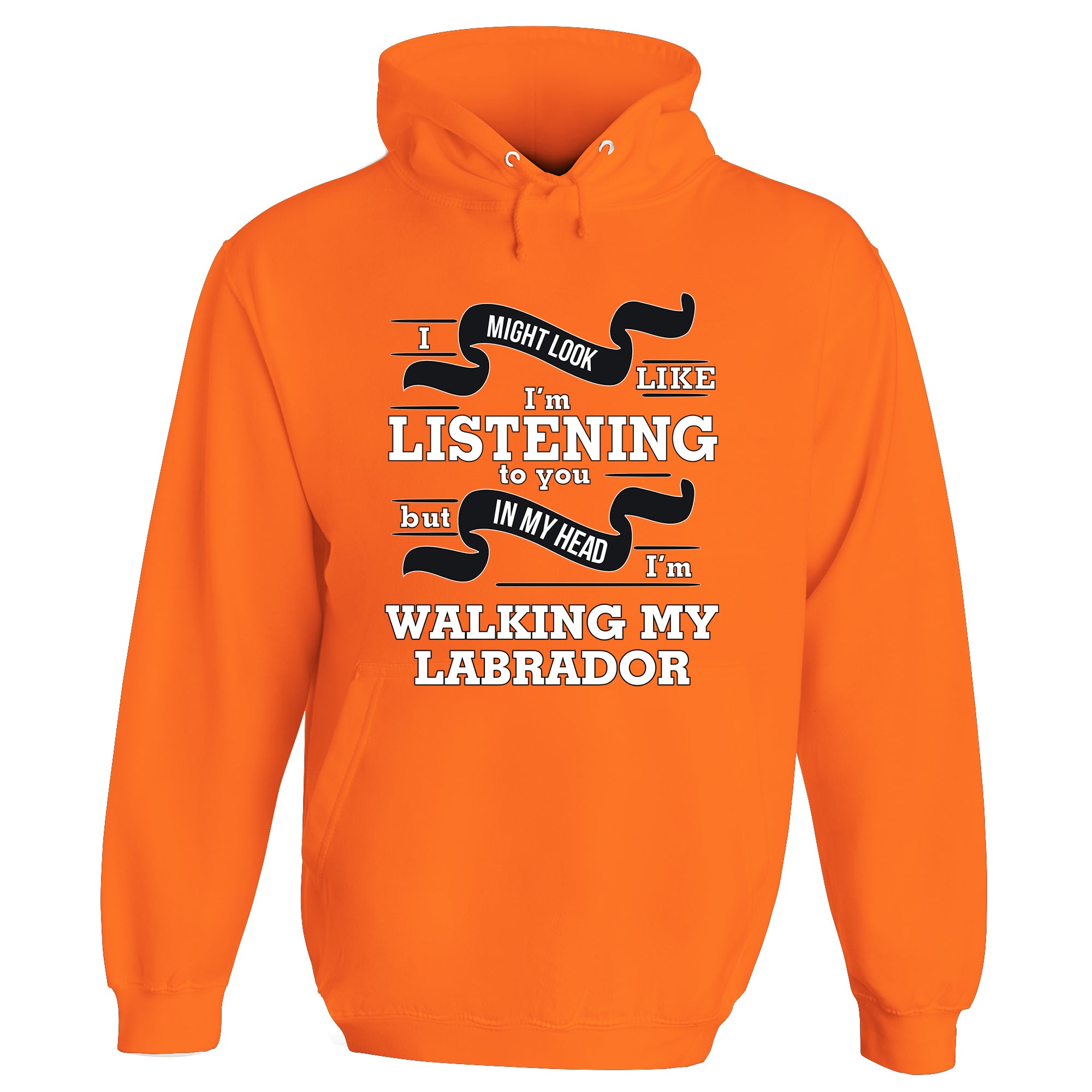 In My Head I'm Walking My Labrador Hoodie