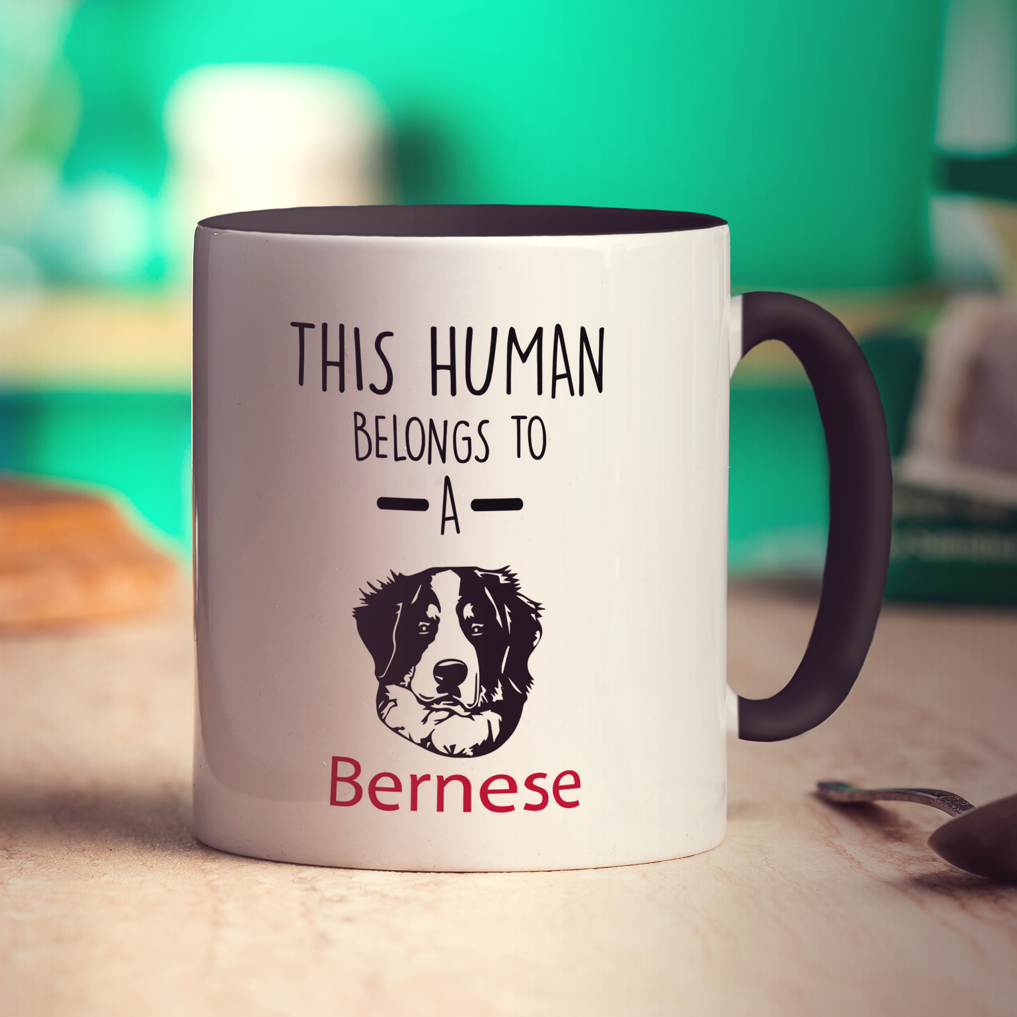 This Human Belongs To A Bernese Mug