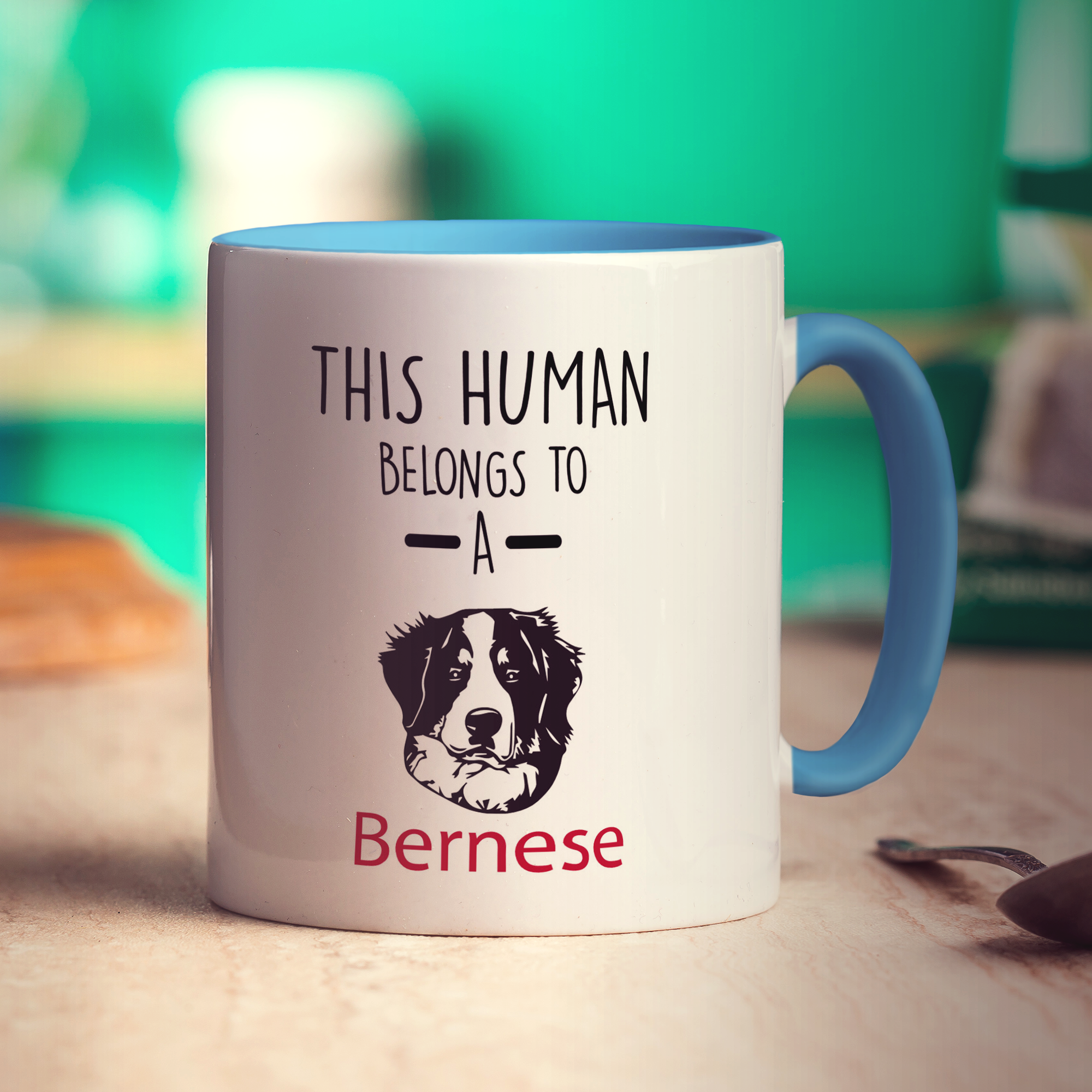 This Human Belongs To A Bernese Mug