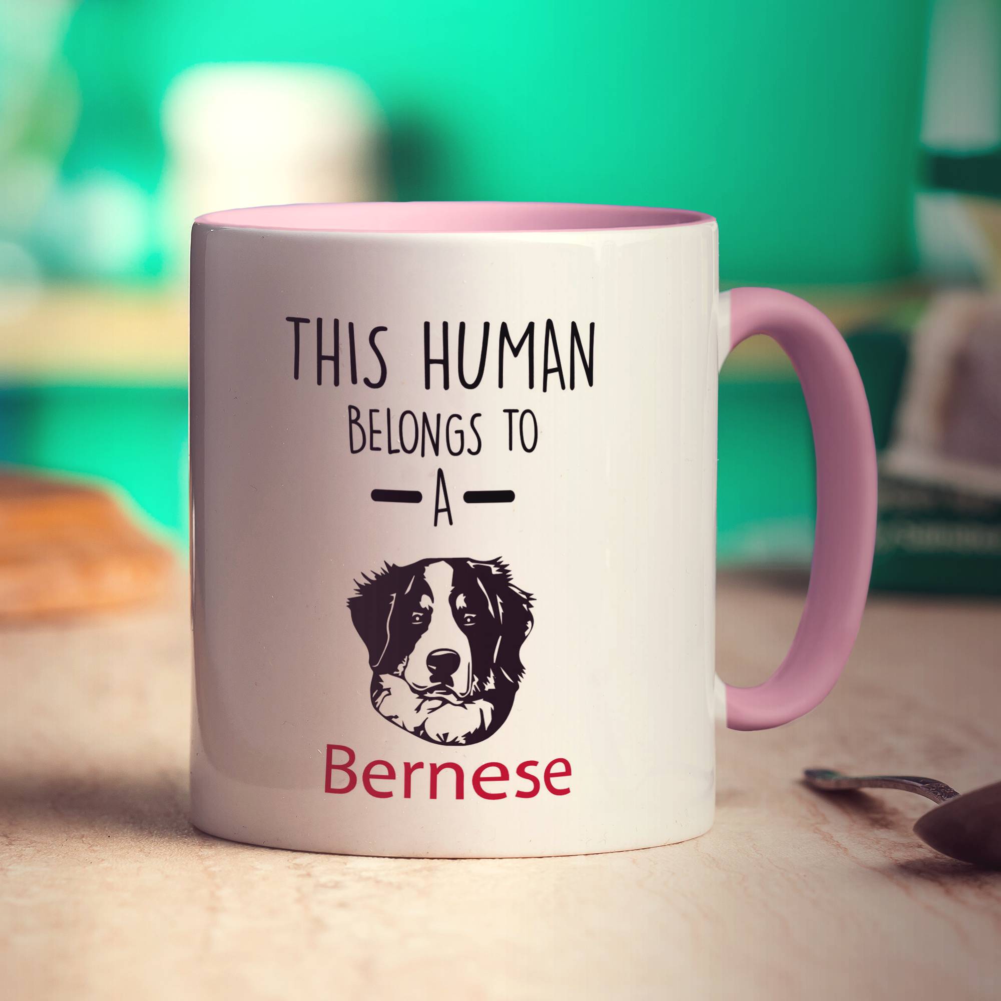 This Human Belongs To A Bernese Mug