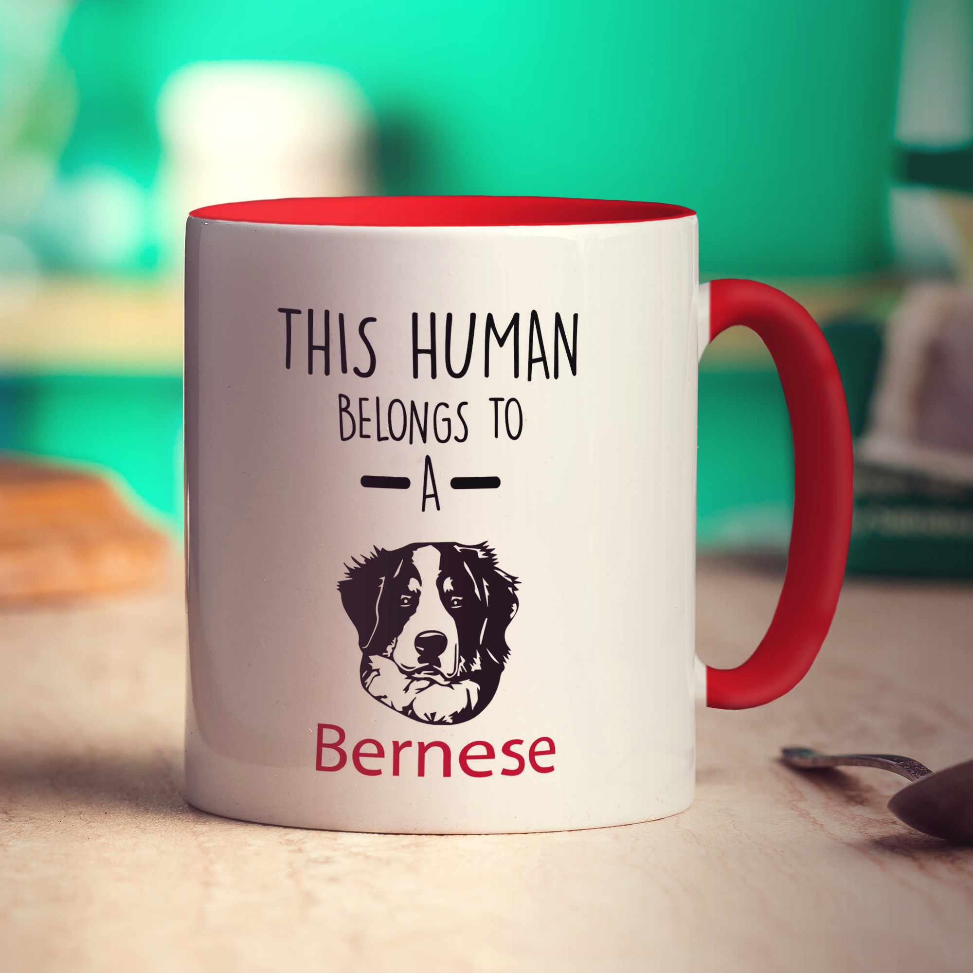 This Human Belongs To A Bernese Mug