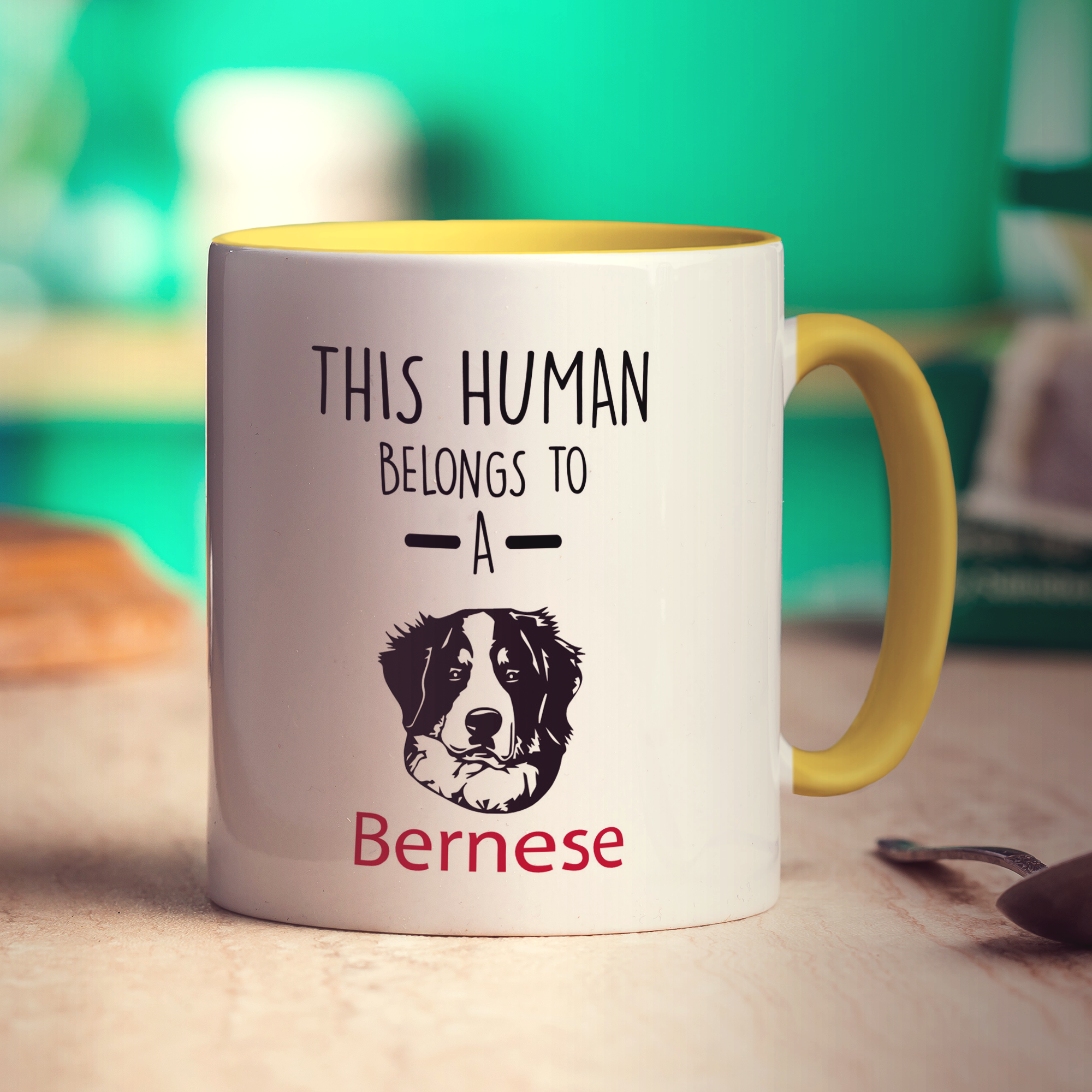 This Human Belongs To A Bernese Mug