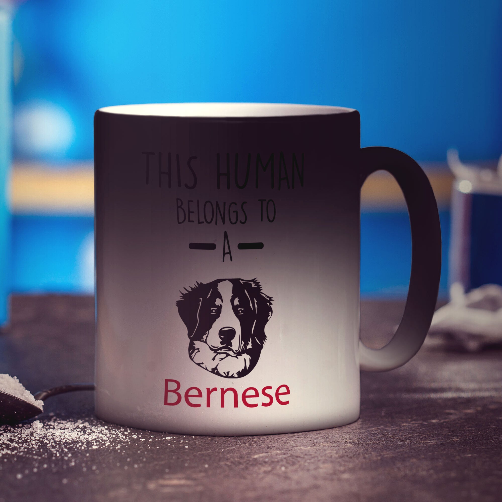 This Human Belongs To A Bernese Mug