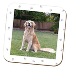 This Human Belongs to Pet Photo Coaster