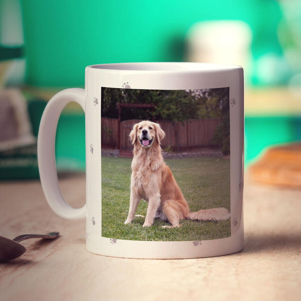 This Human Belongs to Pet Personalised Mug