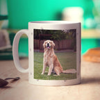 This Human Belongs to Pet Personalised Mug
