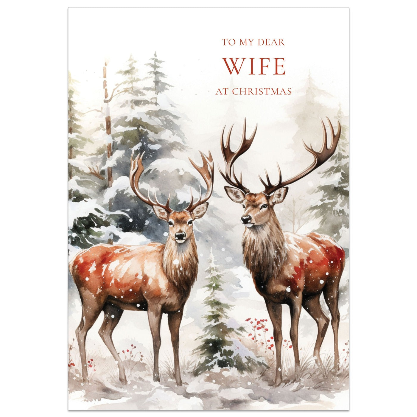 To my Dear Wife at Christmas Card
