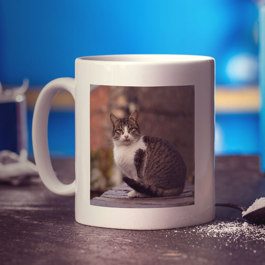Todays Good Mood is Sponsored by My Cat Personalised Mug