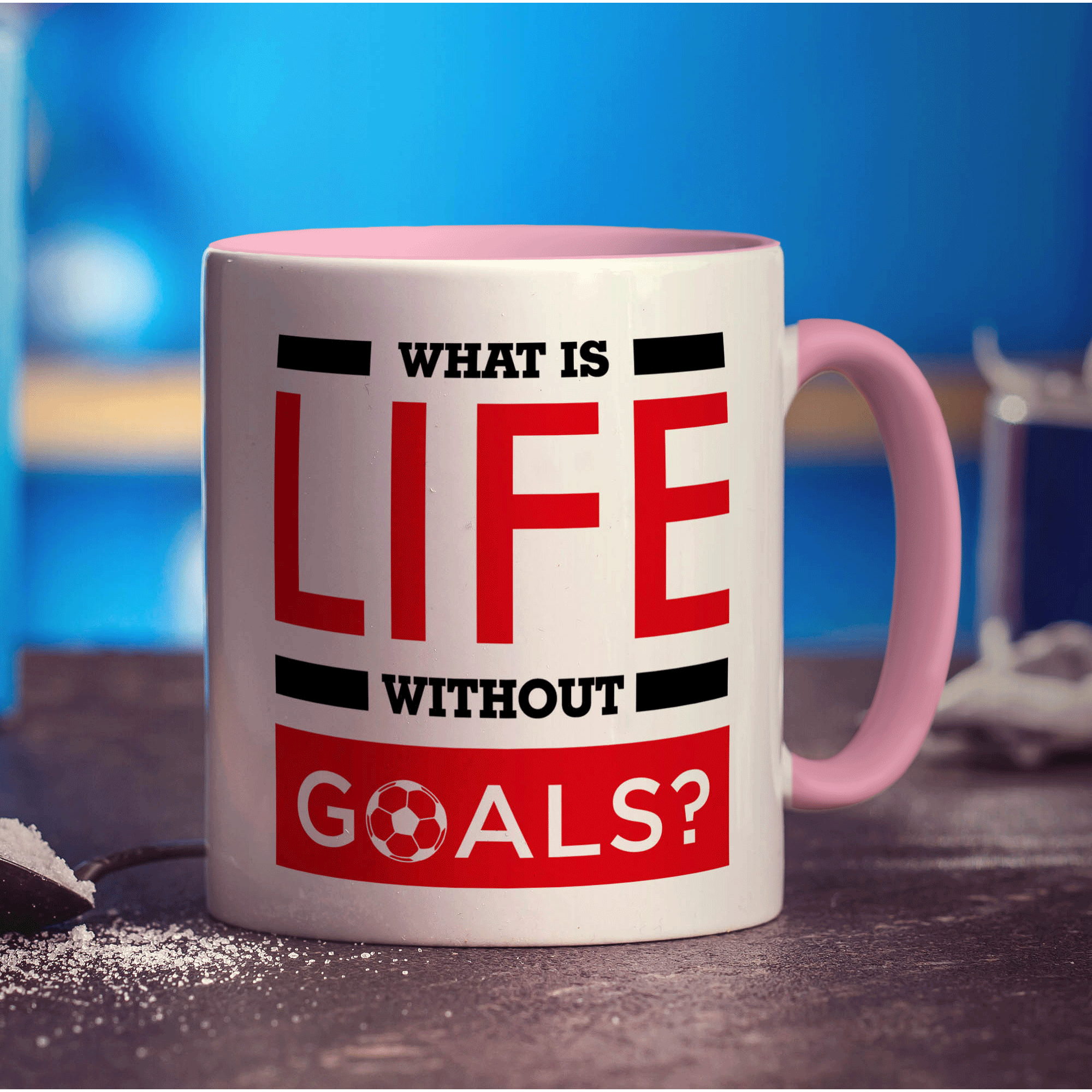 What is Life Without Goals? Mug