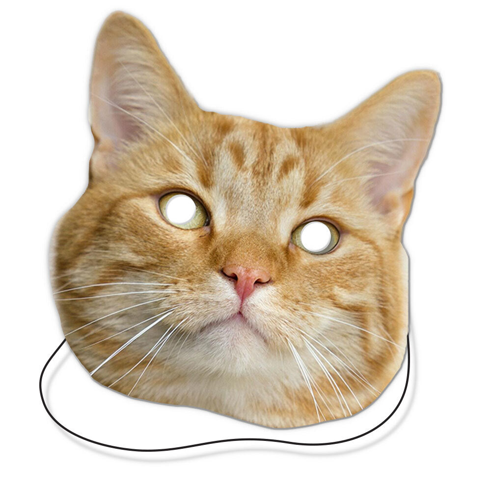 Cat Personalised Face Masks