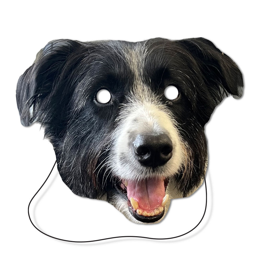 Dog Personalised Face Masks