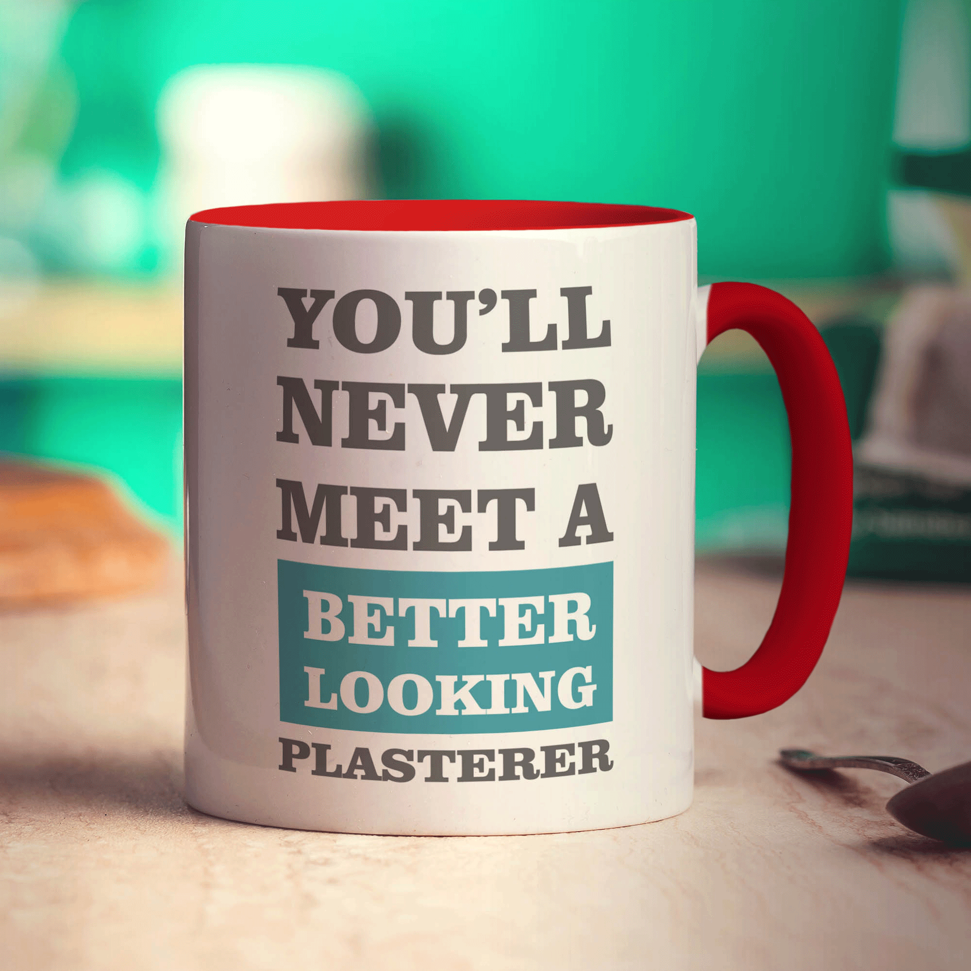 You'll Never Meet a Better Looking Plasterer Mug