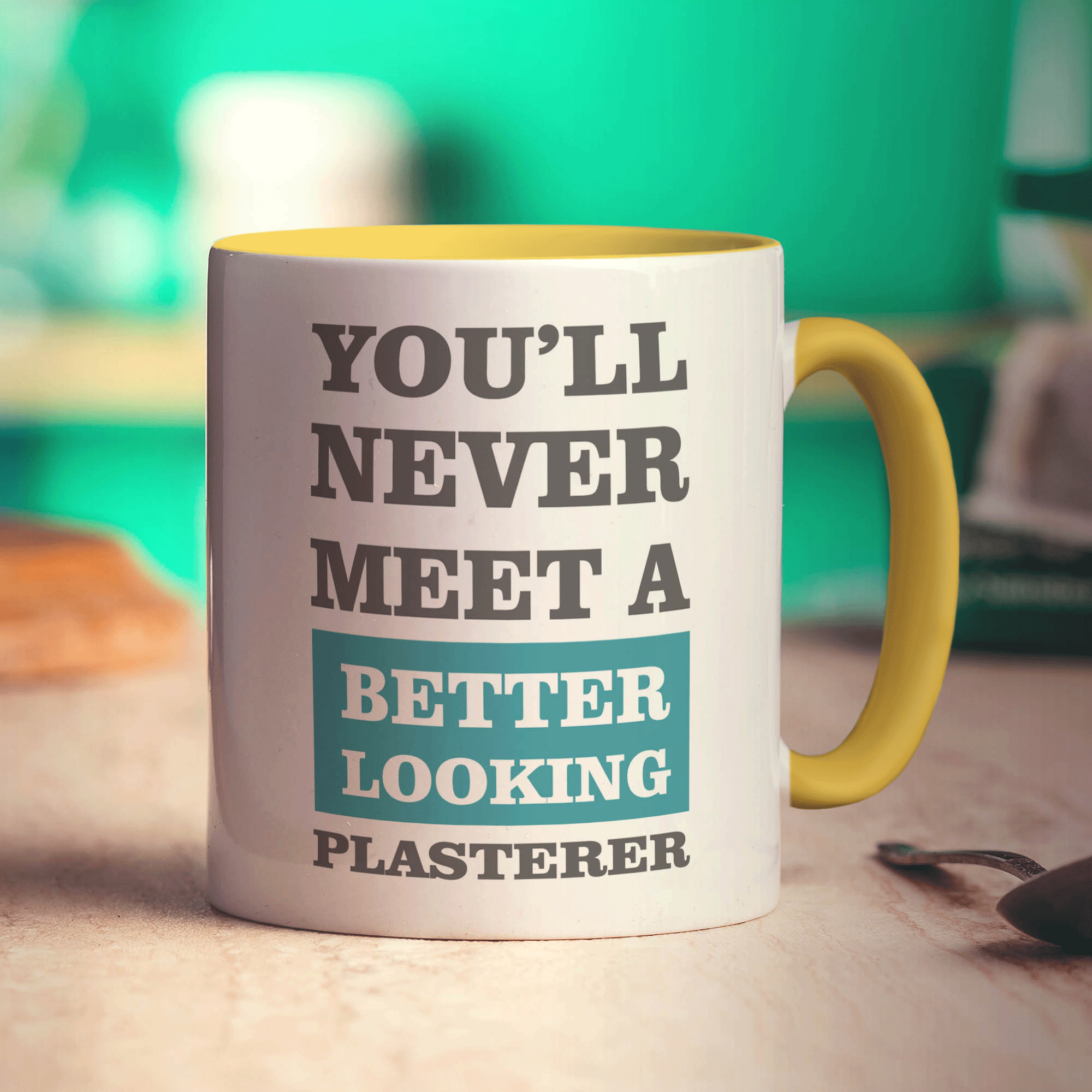 You'll Never Meet a Better Looking Plasterer Mug