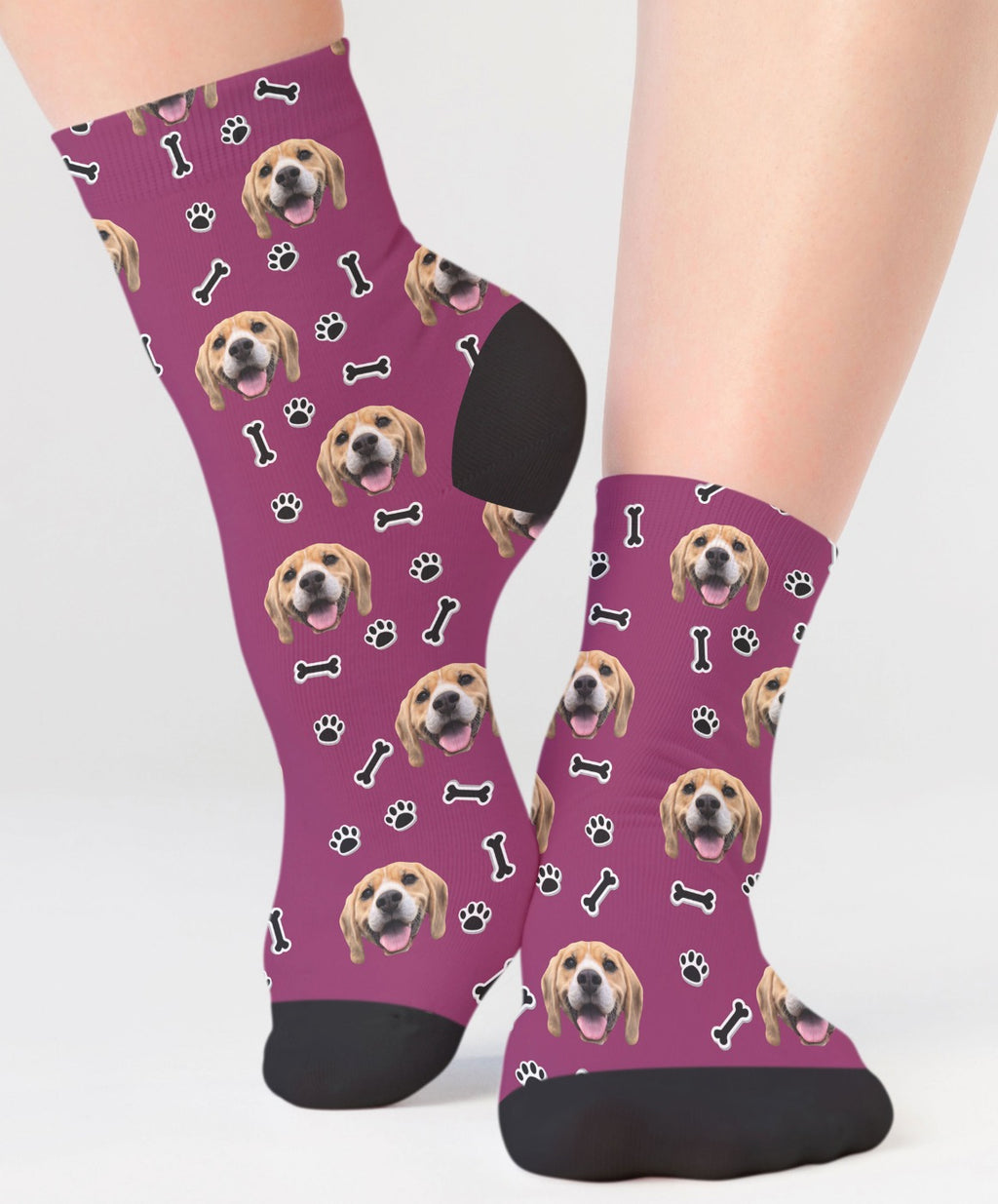 Your Dog on Socks